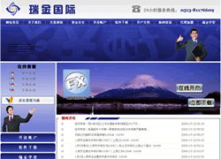 南通銳意網(wǎng)絡(luò)科技 信息技術(shù)咨詢服務(wù)的杰出案例